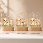 Personalization options for farm night light: name only, name and date, or with selectable font